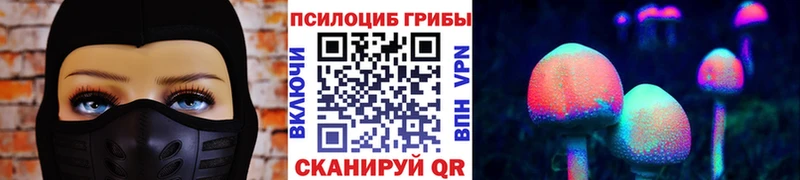 Псилоцибиновые грибы ЛСД  Купить  Новоаннинский 